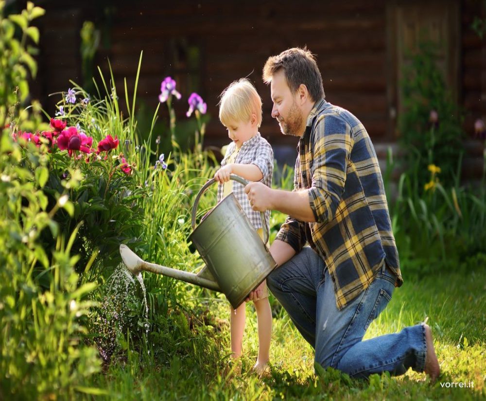 case con giardino 